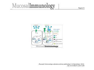 Mucosal Immunology advance online publication 12 November 2014. doi:10.1038/mi.2014.109