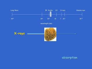 Long Wave			 IR Visible UV X-rays	 Gamma rays