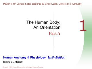 The Human Body: An Orientation Part A