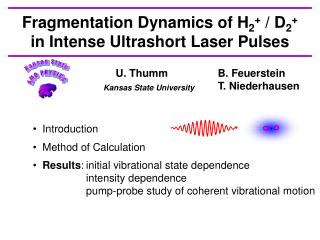 Fragmentation Dynamics of H 2 + / D 2 + in Intense Ultrashort Laser Pulses