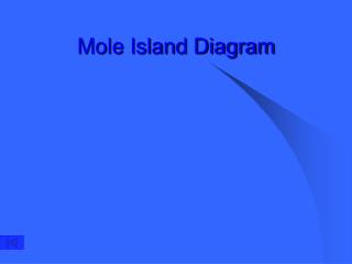 Mole Island Diagram