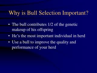 Why is Bull Selection Important?