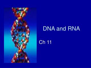 DNA and RNA