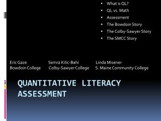 Quantitative Literacy assessment