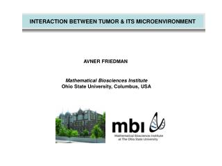 INTERACTION BETWEEN TUMOR & ITS MICROENVIRONMENT