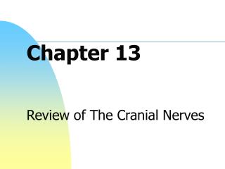 Chapter 13