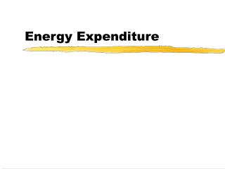 Energy Expenditure