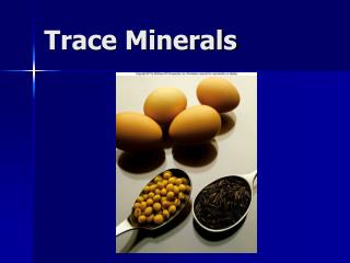 Trace Minerals