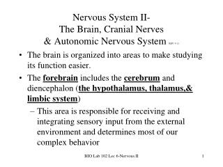 Nervous System II- The Brain, Cranial Nerves &amp; Autonomic Nervous System REV 3-11