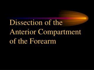 Dissection of the Anterior Compartment of the Forearm