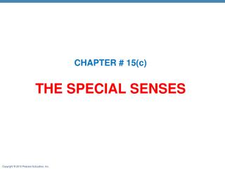 THE SPECIAL SENSES