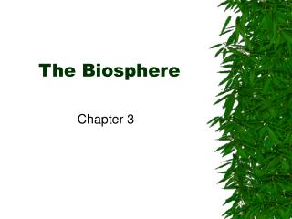 The Biosphere