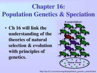Chapter 16: Population Genetics &amp; Speciation