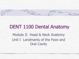 DENT 1100 Dental Anatomy