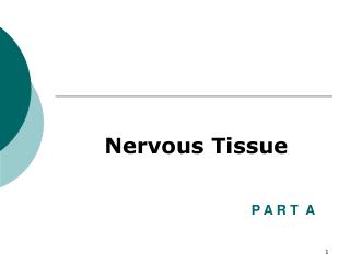 Fundamentals of the Nervous System and Nervous Tissue