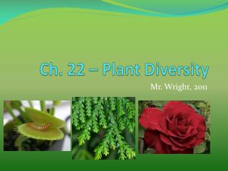 Ch. 22 – Plant Diversity