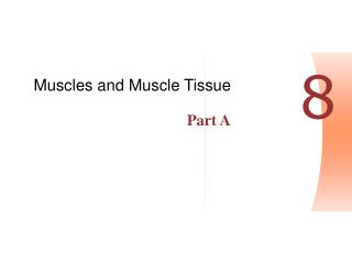 Muscles and Muscle Tissue