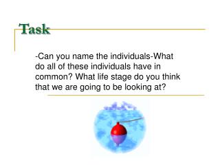 Task
