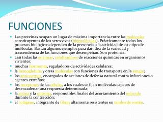 FUNCIONES