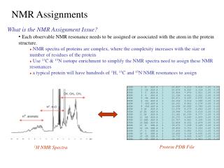 What is the NMR Assignment Issue?