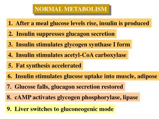 NORMAL METABOLISM