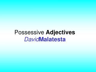 Possessive Adjectives David Malatesta