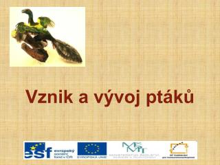 Vznik a vývoj ptáků