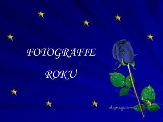 FOTOGRAFIE ROKU