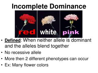 Incomplete Dominance