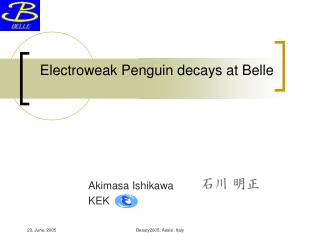 Electroweak Penguin decays at Belle