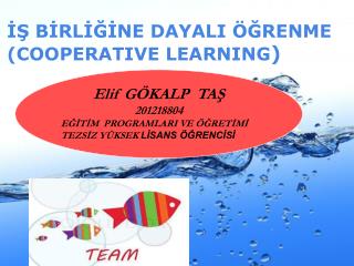 İŞ BİRLİĞİNE DAYALI ÖĞRENME (COOPERATIVE LEARNING )