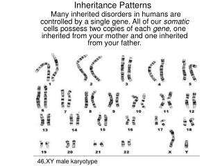 Inheritance Patterns