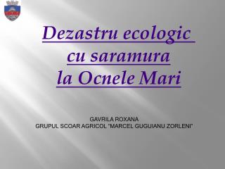 Dezastru ecologic cu saramura la Ocnele Mari