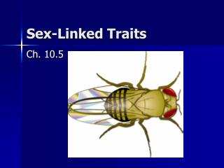 Sex-Linked Traits