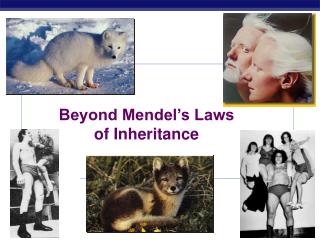 Beyond Mendel’s Laws of Inheritance