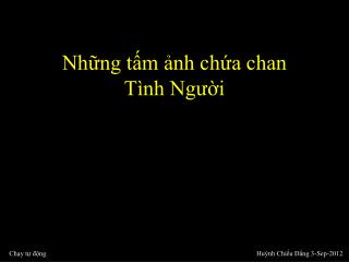 Những tấm ảnh chứa chan Tình Người