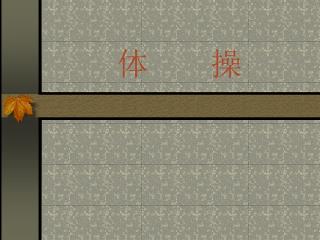 体 操