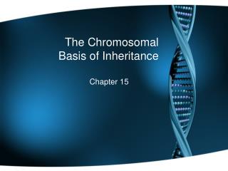 The Chromosomal Basis of Inheritance