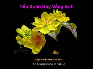 N ếu Xuân Này Vắng Anh