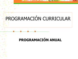 PROGRAMACIÓN CURRICULAR