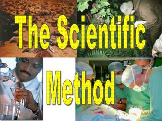 The Scientific Method