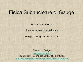 Fisica Subnucleare di Gauge