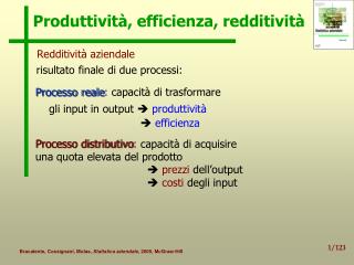 Produttività, efficienza, redditività