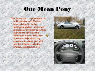 One Mean Pony