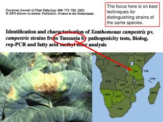 The focus here is on best techniques for distinguishing strains of the same species.