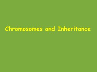 Chromosomes and Inheritance