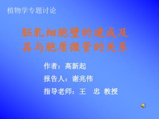 胚乳细胞壁的建成及其与胞质微管的关系