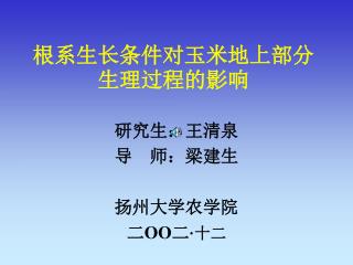 根系生长条件对玉米地上部分生理过程的影响