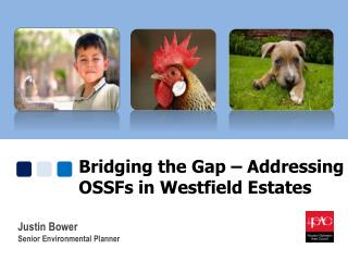 Bridging the Gap – Addressing OSSFs in Westfield Estates