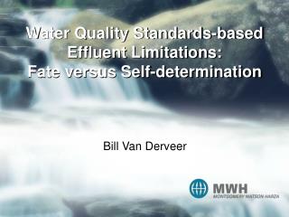 Water Quality Standards-based Effluent Limitations: Fate versus Self-determination